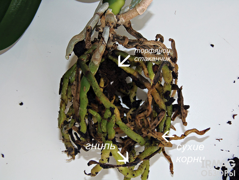 Грунт субстрат Orchiata Power для взрослых орхидей (1 л.)