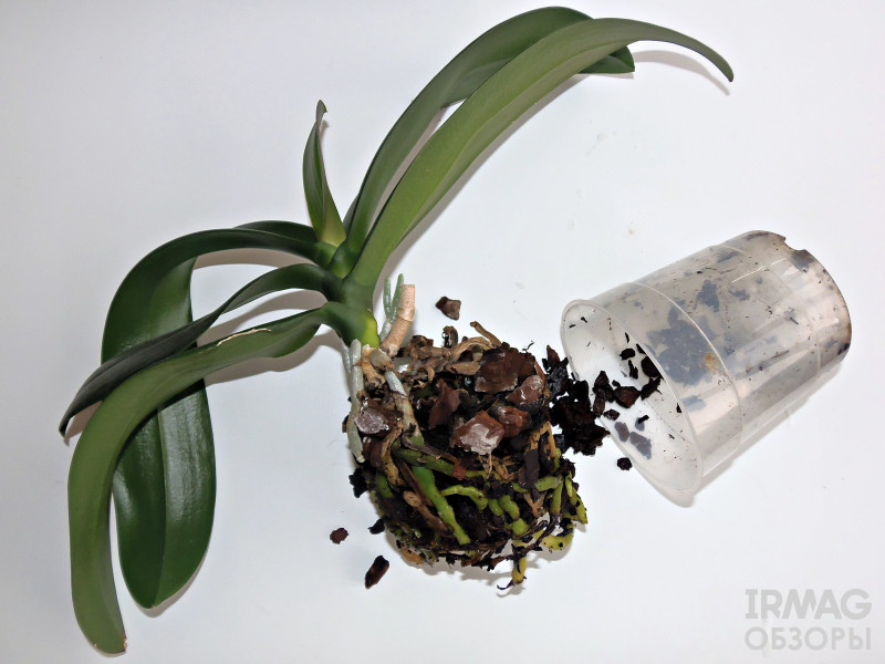 Грунт субстрат Orchiata Power для взрослых орхидей (1 л.)