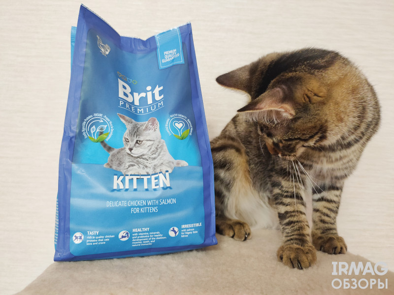 Корм сухой для котят Brit Premium Kitten с Курицей и лососем (800 г)
