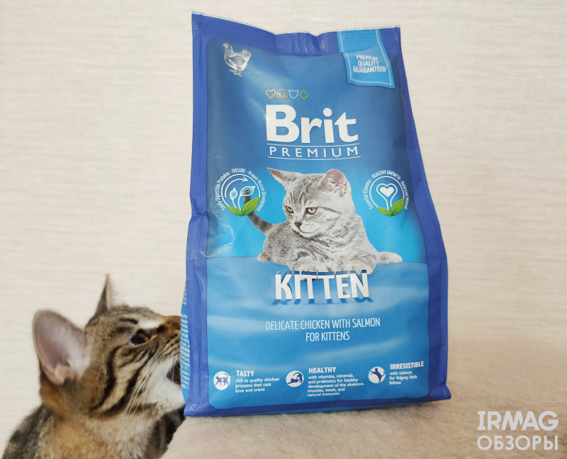 Корм сухой для котят Brit Premium Kitten с Курицей и лососем (800 г)