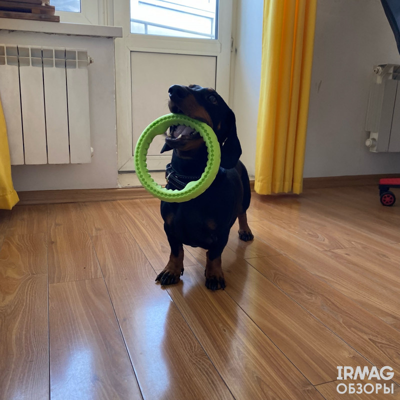 Игрушка для собак Triol Aroma из термопластичной резины Кольцо (170 мм)