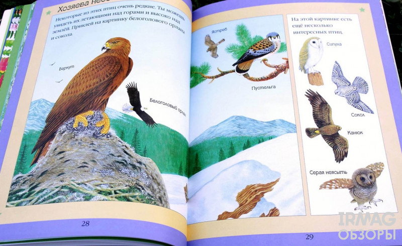Книжка Мозаика-Синтез Чудо-наклейки Такие разные животные
